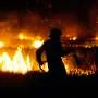 Três abordagens divergentes prejudicam estratégia contra incêndios florestais
