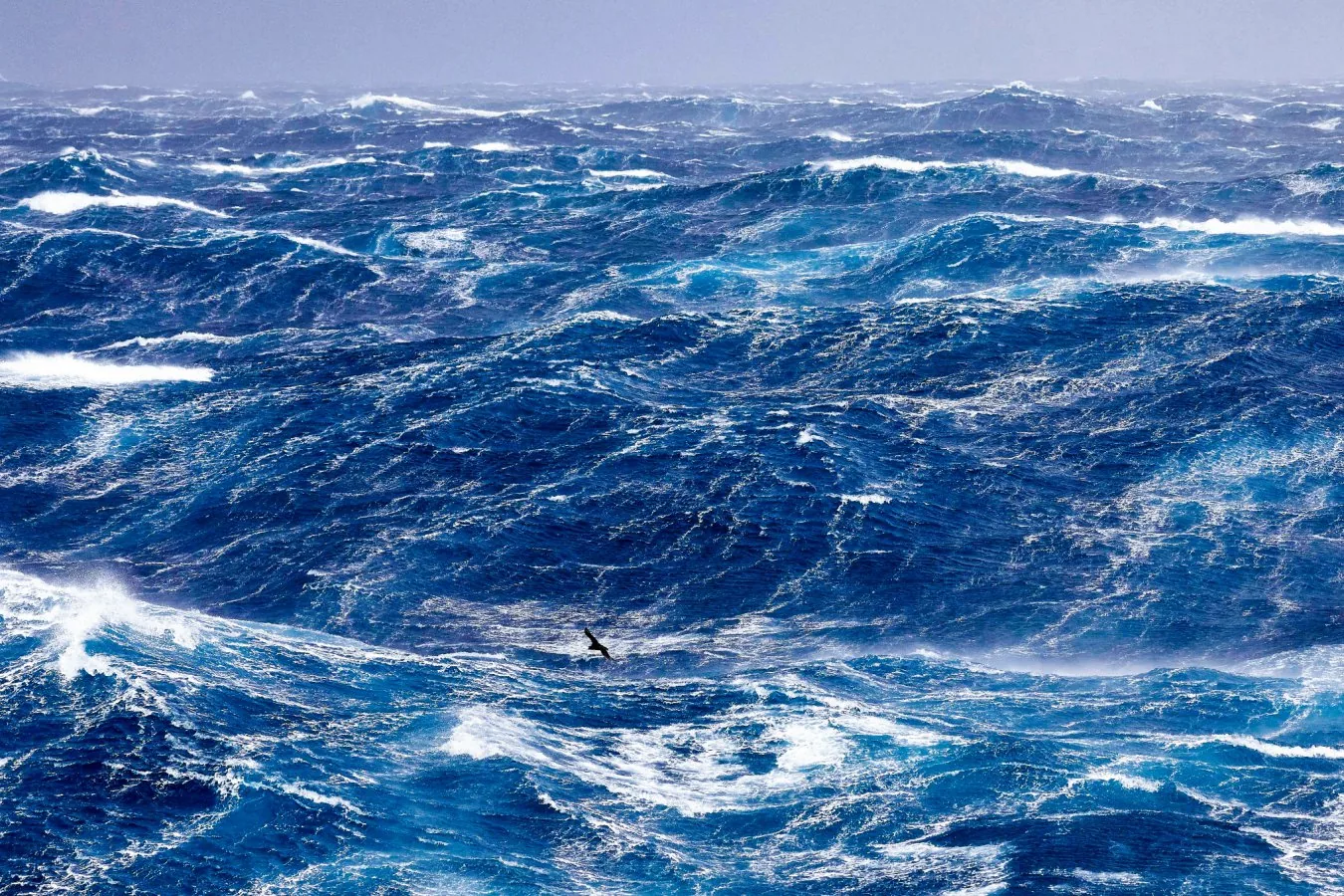 Oceano Austral pode tornar-se fonte de CO2 após alcance de emissões nulas