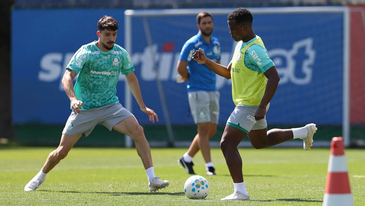 Palmeiras prepara mudanças para enfrentar Botafogo