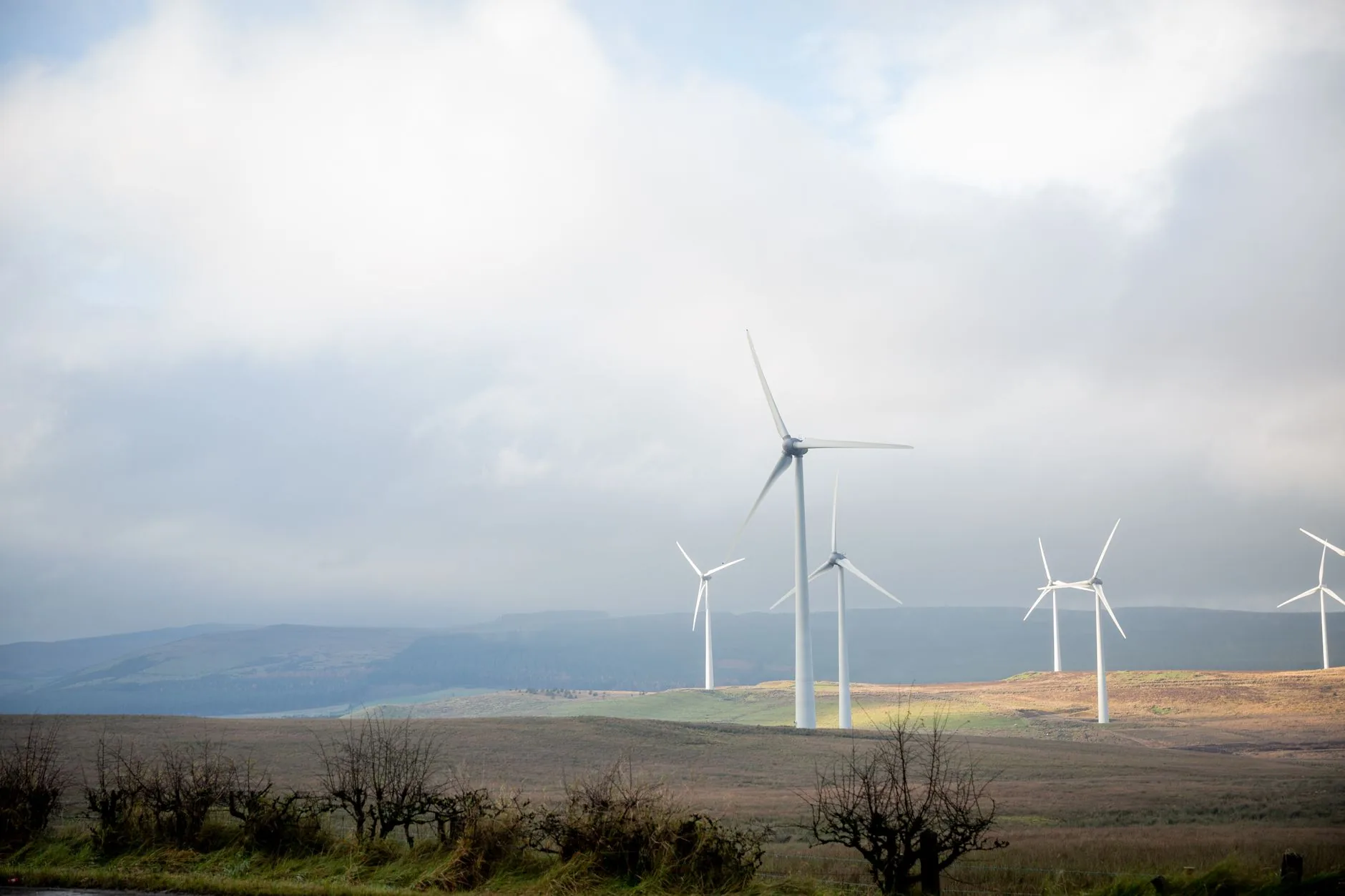 Análise: A Energia Renovável e o Impacto na Economia e Meio Ambiente