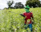 Quase metade dos agricultores do mundo é intoxicada por pesticidas a cada ano