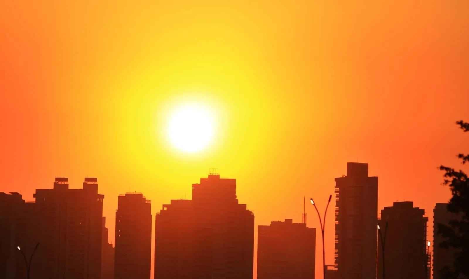 Inmet emite alerta de baixa umidade para mais de 60 cidades da Paraíba