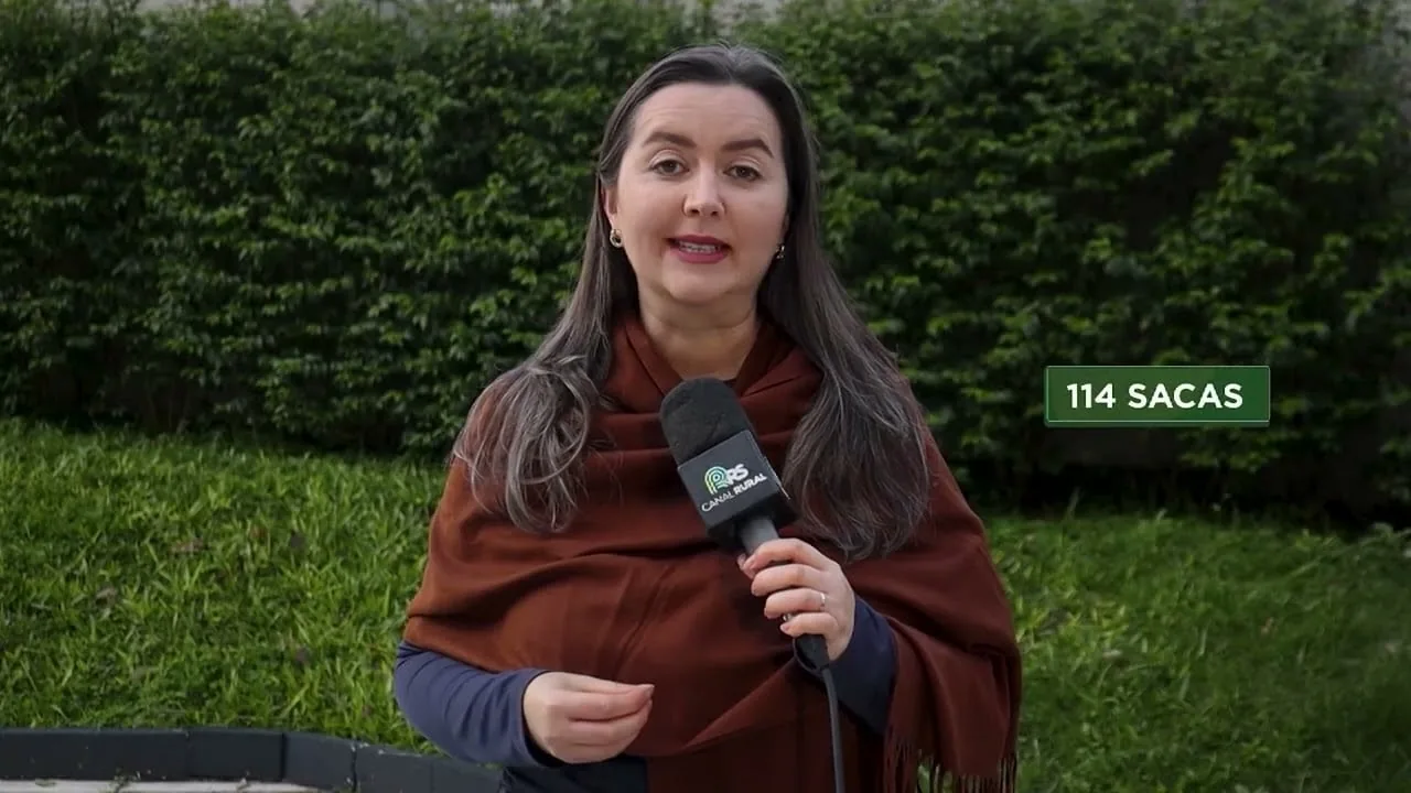 Escolha da cultivar de soja impacta rentabilidade no Rio Grande do Sul