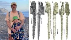 Descoberta de fósil ajuda a esclarecer mistério sobre dentes de peixe antigo