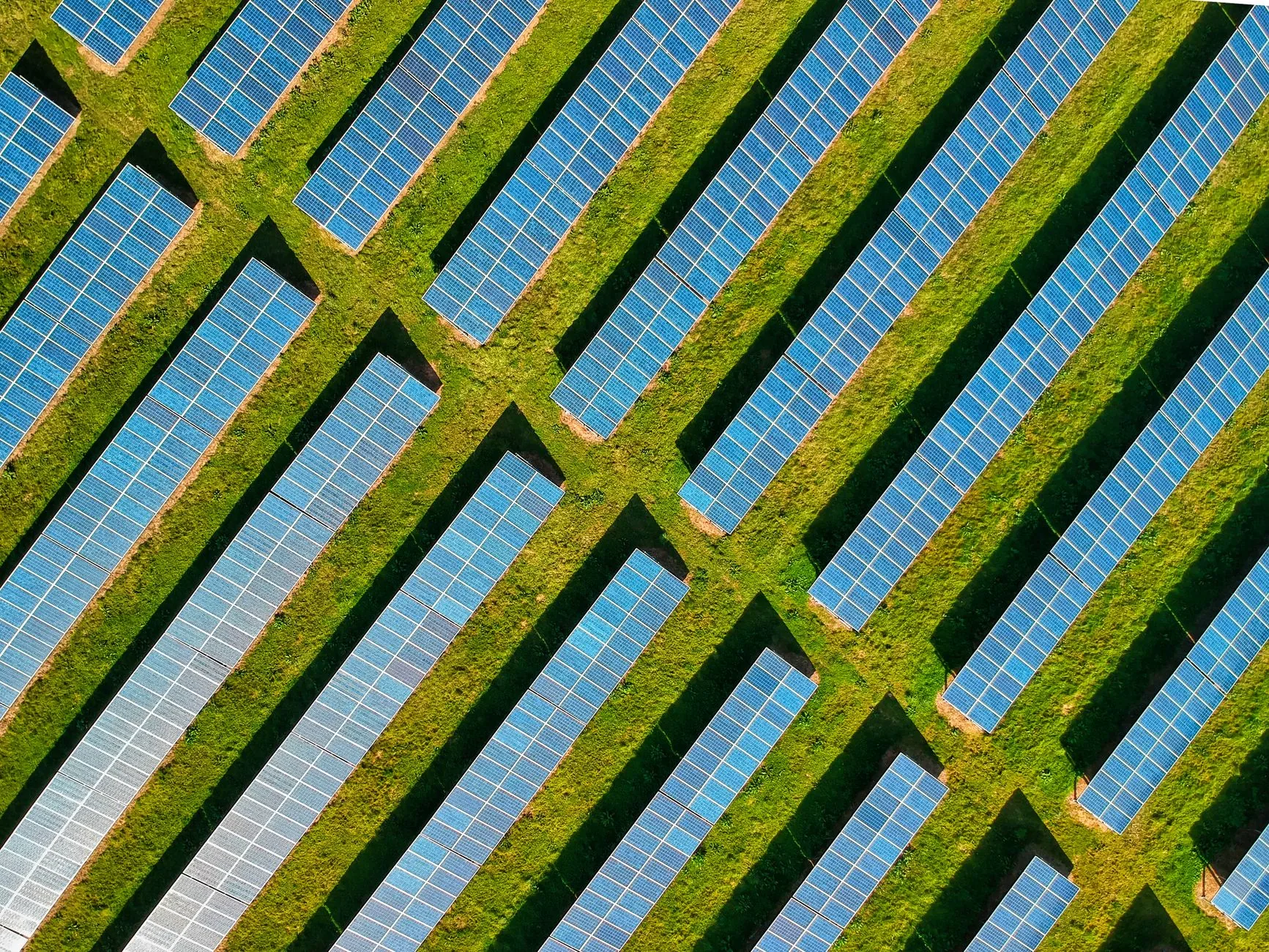 Análise: Soluções Inovadoras na Conservação Ambiental