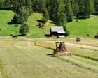 Microplásticos na terra podem transportar toxinas e alterar ecossistemas
