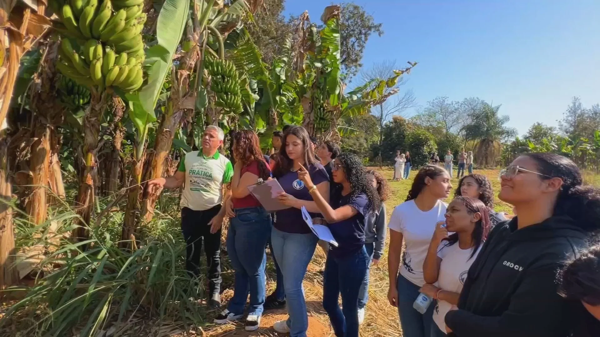Projeto leva alunos de Promissão a vivenciar rotina no campo