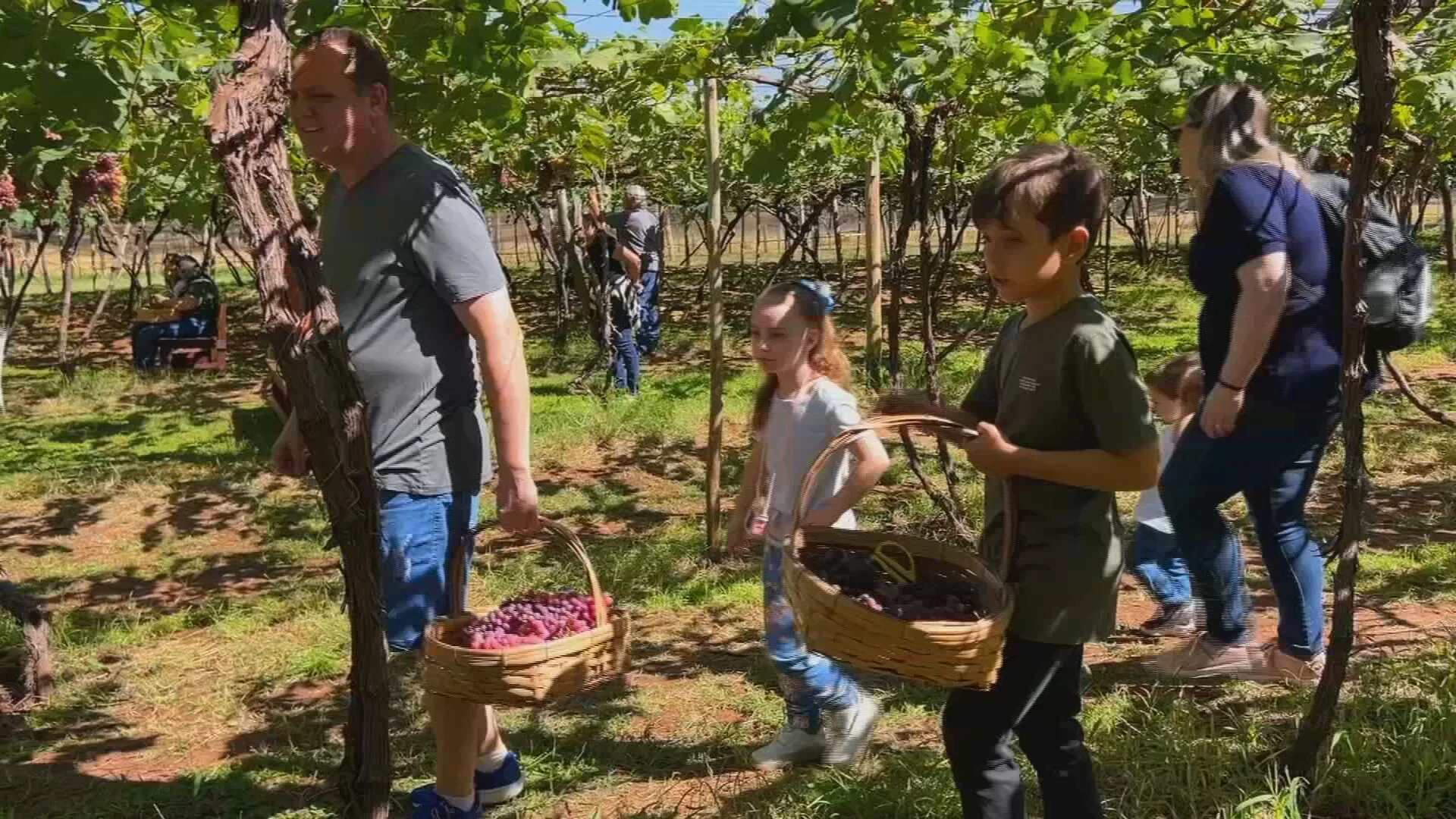 Cidades do noroeste paulista investem na experiência do campo