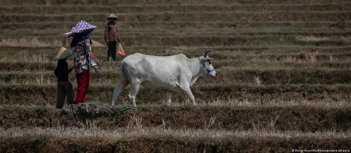 Clima e escassez alimentar elevam risco de conflitos