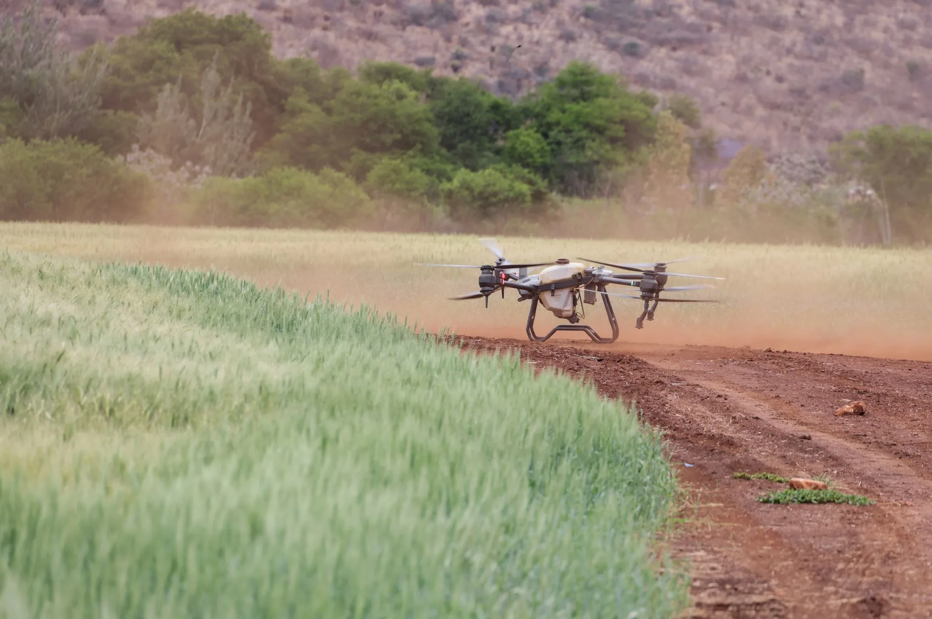 Monitoramento de crianças e custos da agricultura