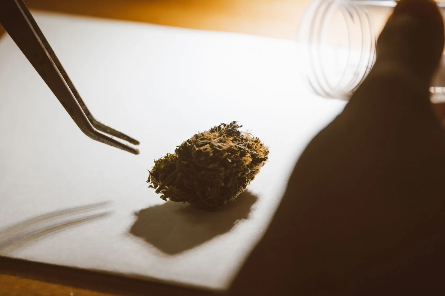 Regulamentação da cannabis medicinal: o que ainda falta definir