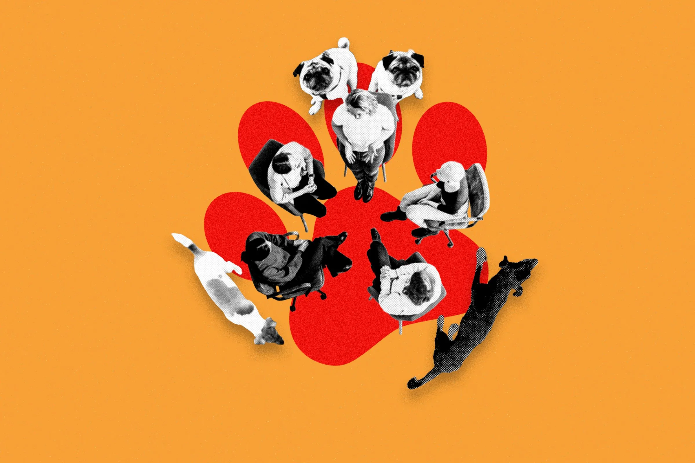Dogs Anonymous: Um Grupo Online para Apoiar Donos de Cães Desafiadores