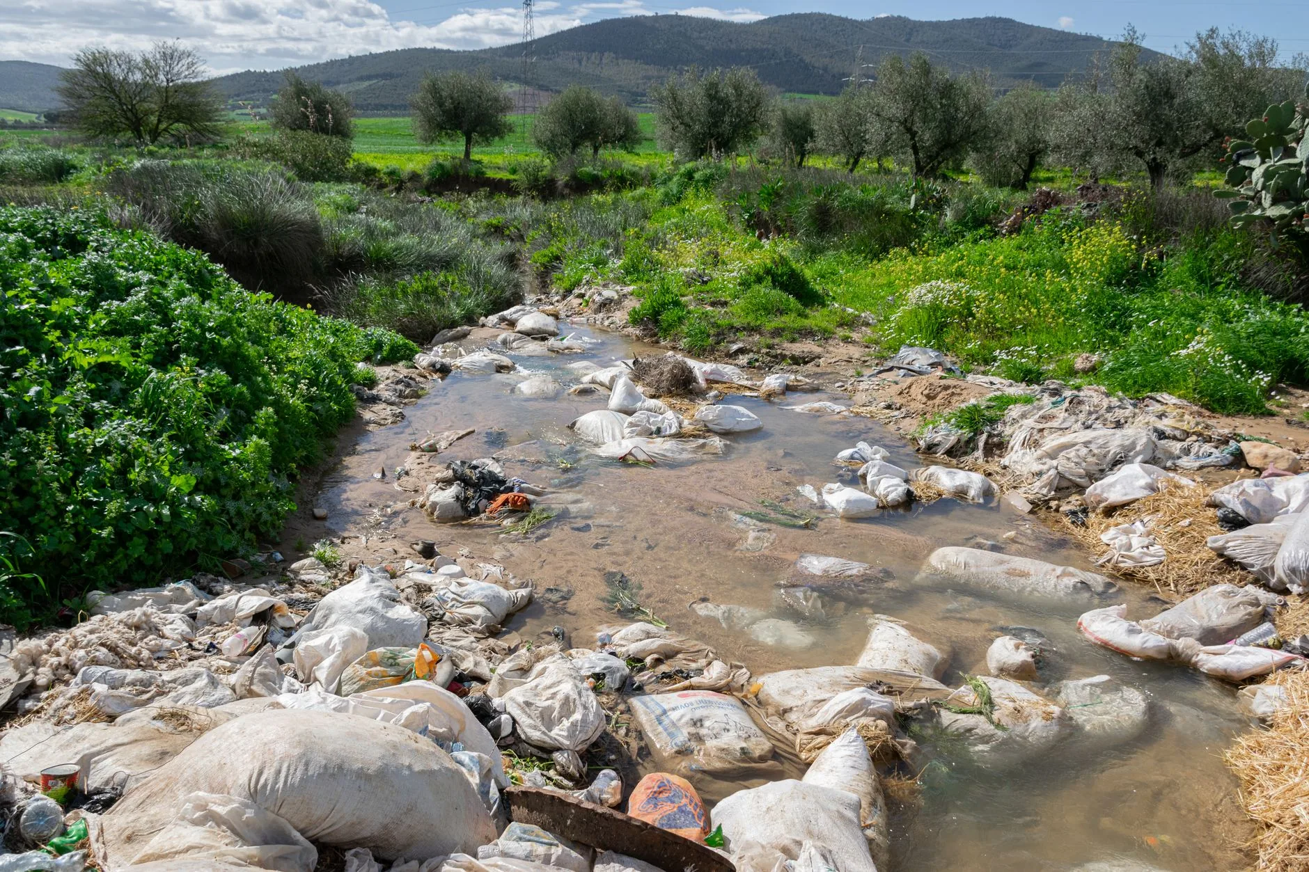 Balanço: Ações e Desafios na Conservação Ambiental