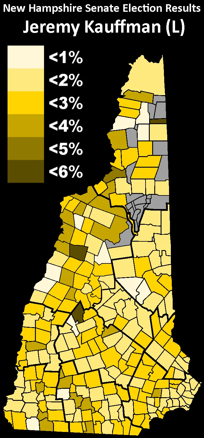 Eleitores de New Hampshire votam em primária para substituir senador