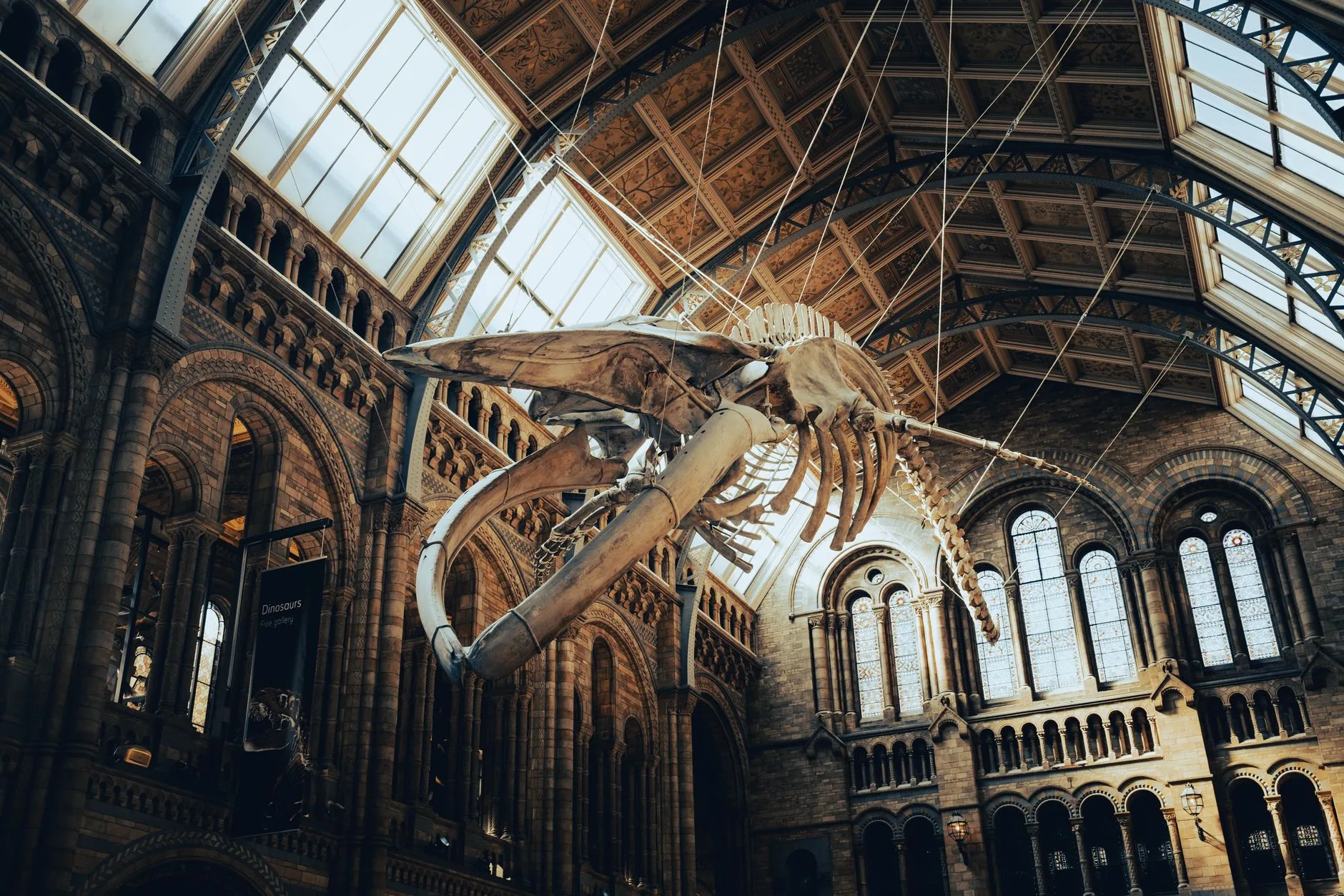 Análise: A Evolução da Cultura Britânica no Mundo Digital