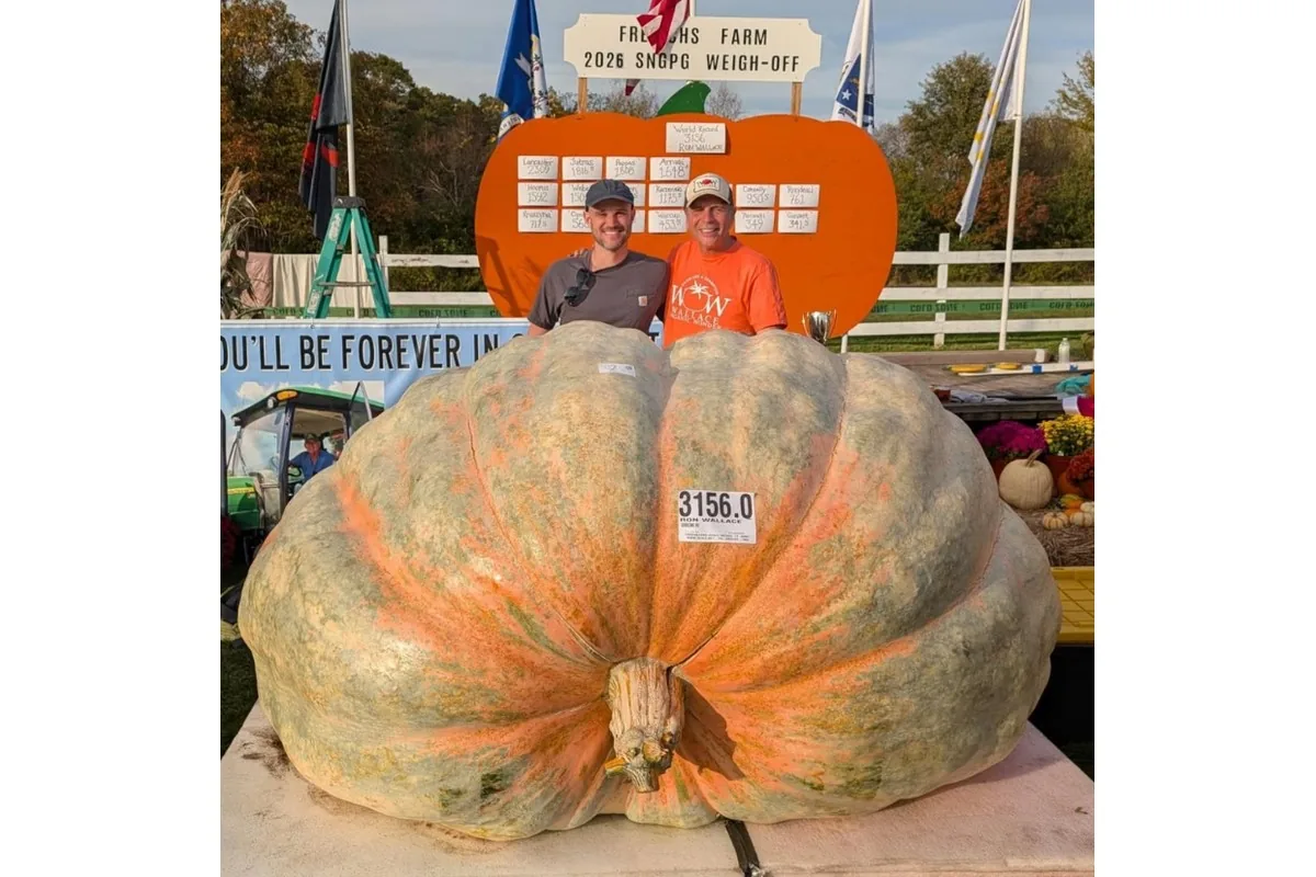 Abóbora de 1.432 kg bate recorde mundial