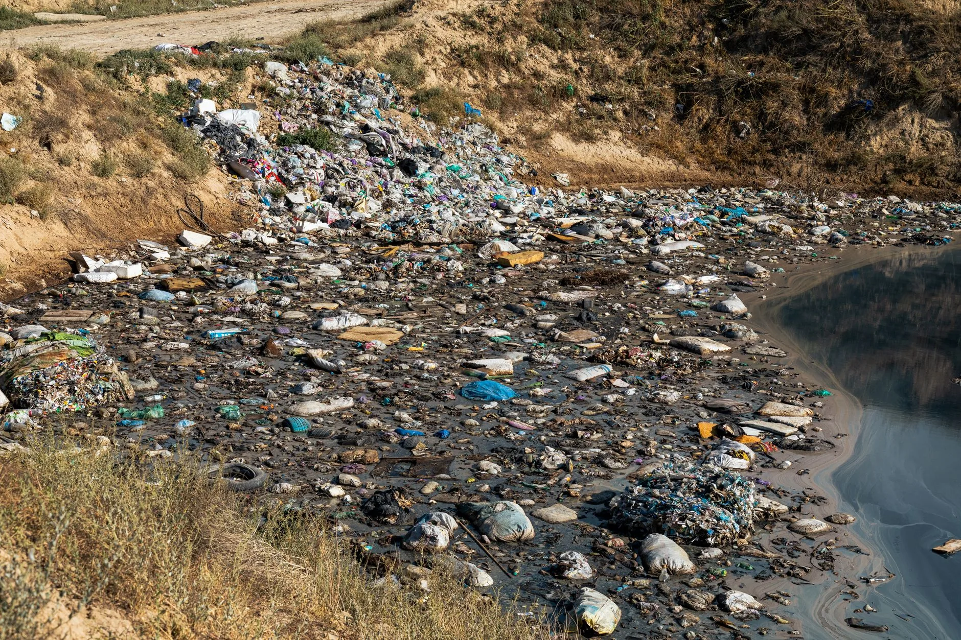 Balanço: As Principais Notícias do Meio Ambiente no Último Período