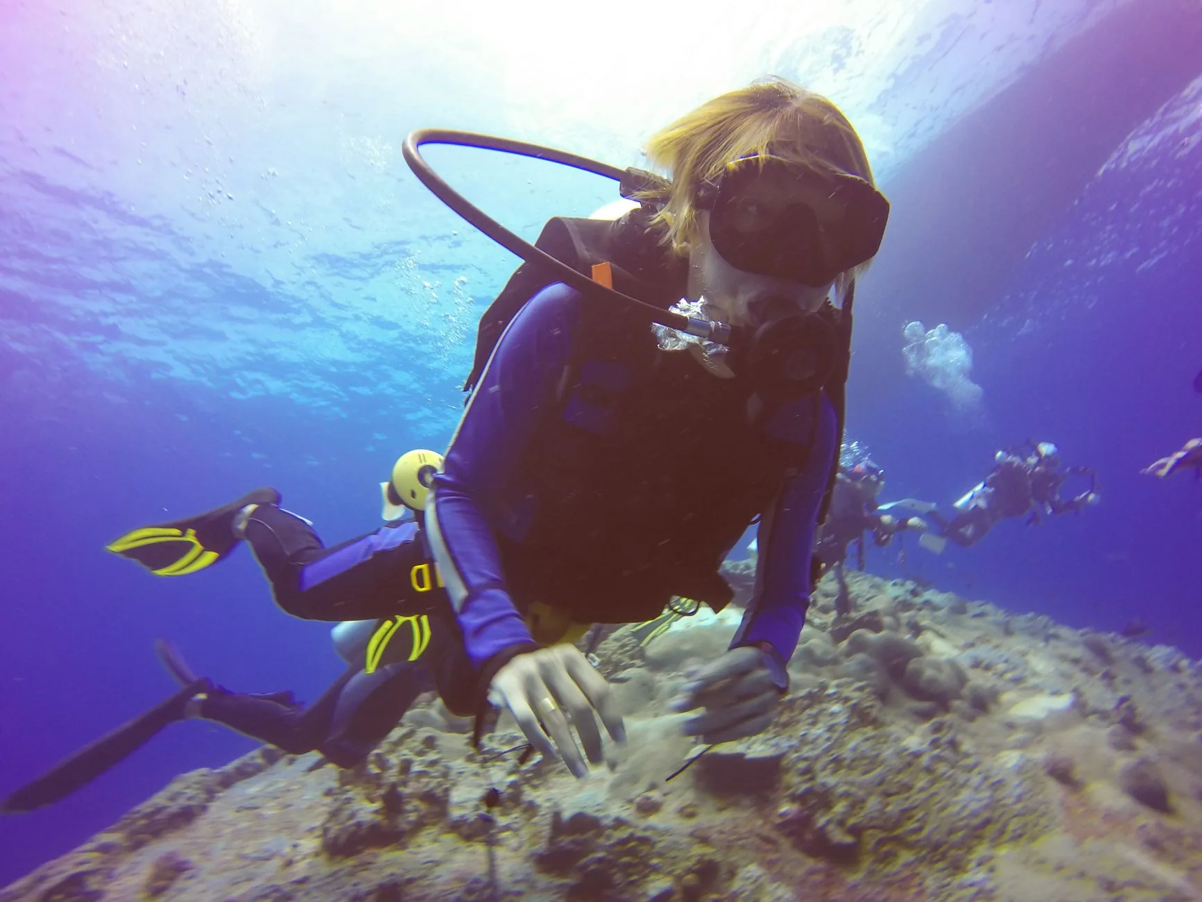 Análise: O Impacto das Mudanças Climáticas na Vida Marinha Profunda