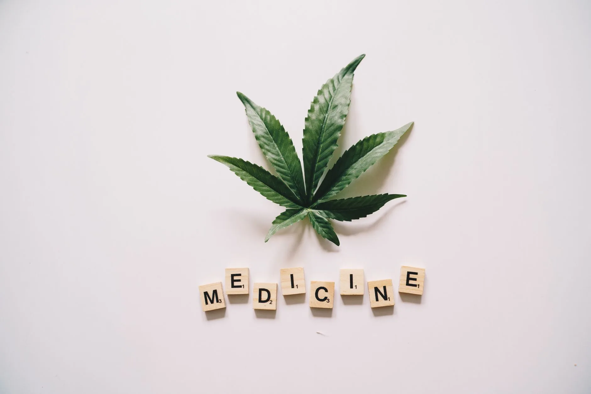 Ease Labs negocia venda de cannabis medicinal à Europa