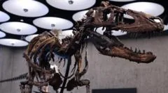 Dinossauro Nanotyrannus será leiloado em Nova York
