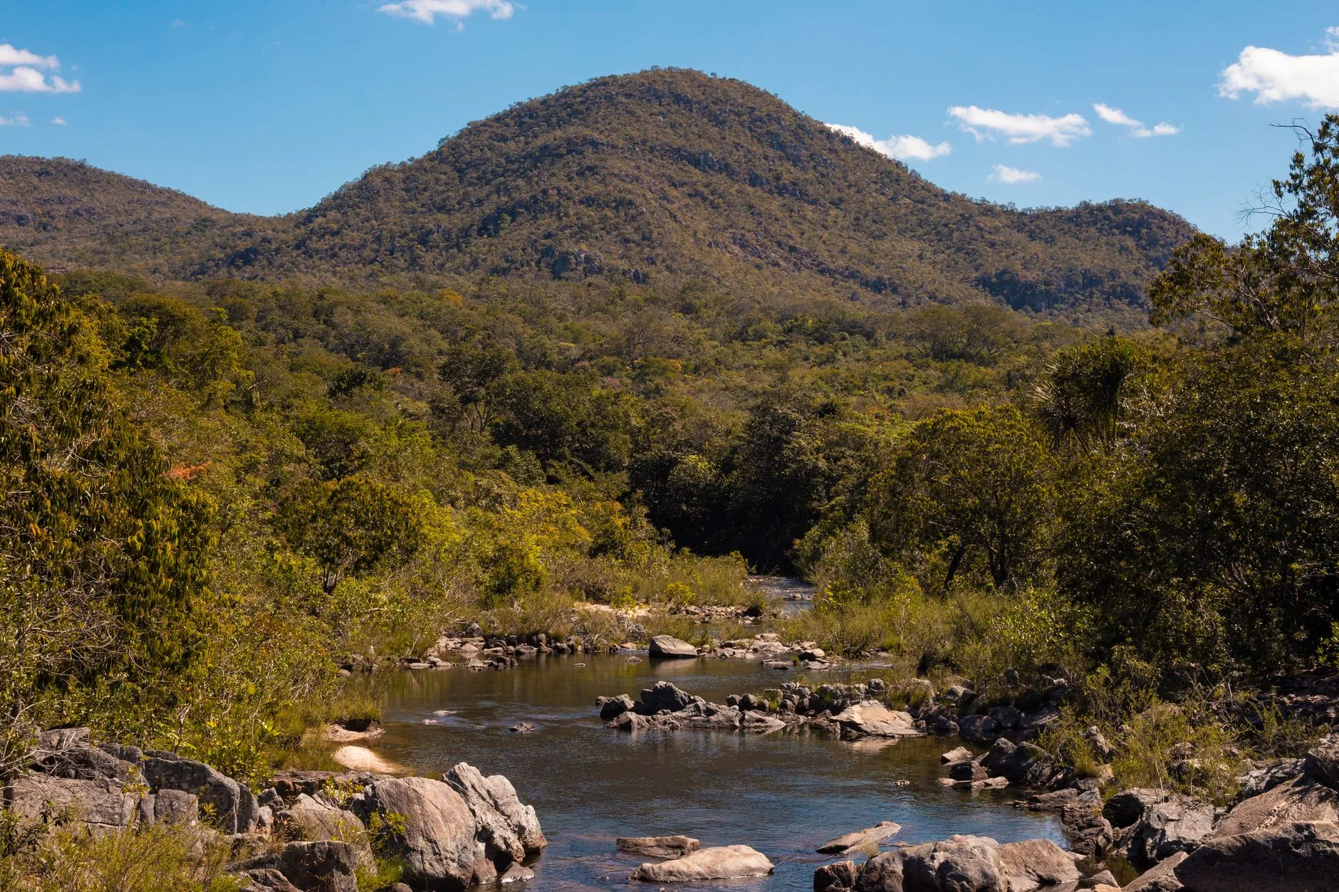 Cerrado perdeu 13,9 milhões de hectares de vegetação próxima a rios em 40 anos