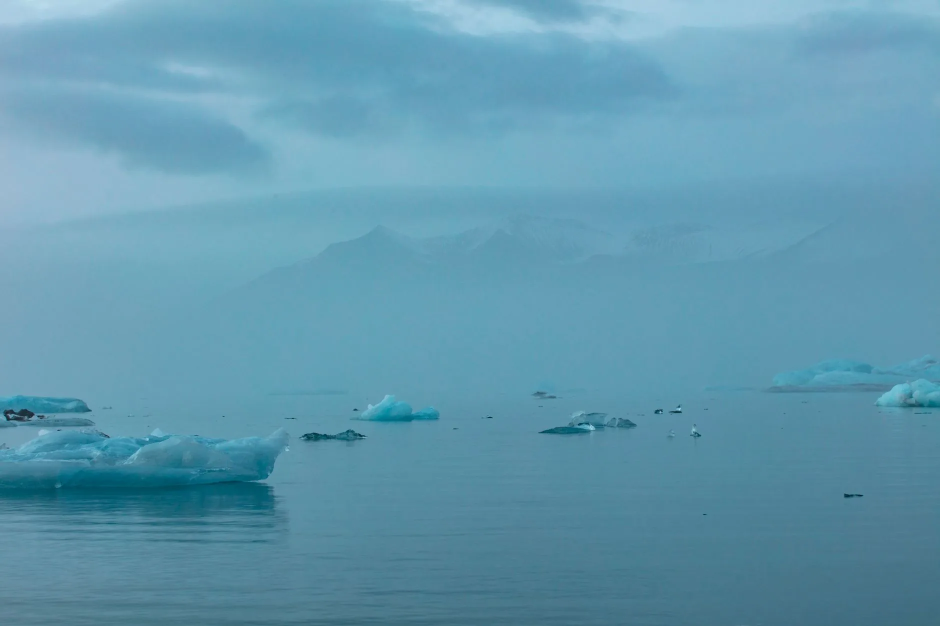 Arctic sea ice loss could be far worse than predicted