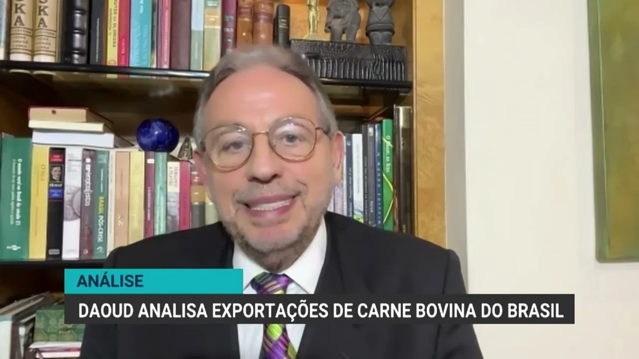 Análise do cenário das exportações de carne bovina do Brasil