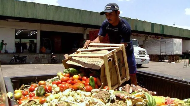 Campanha busca engajamento para reduzir desperdício de alimentos