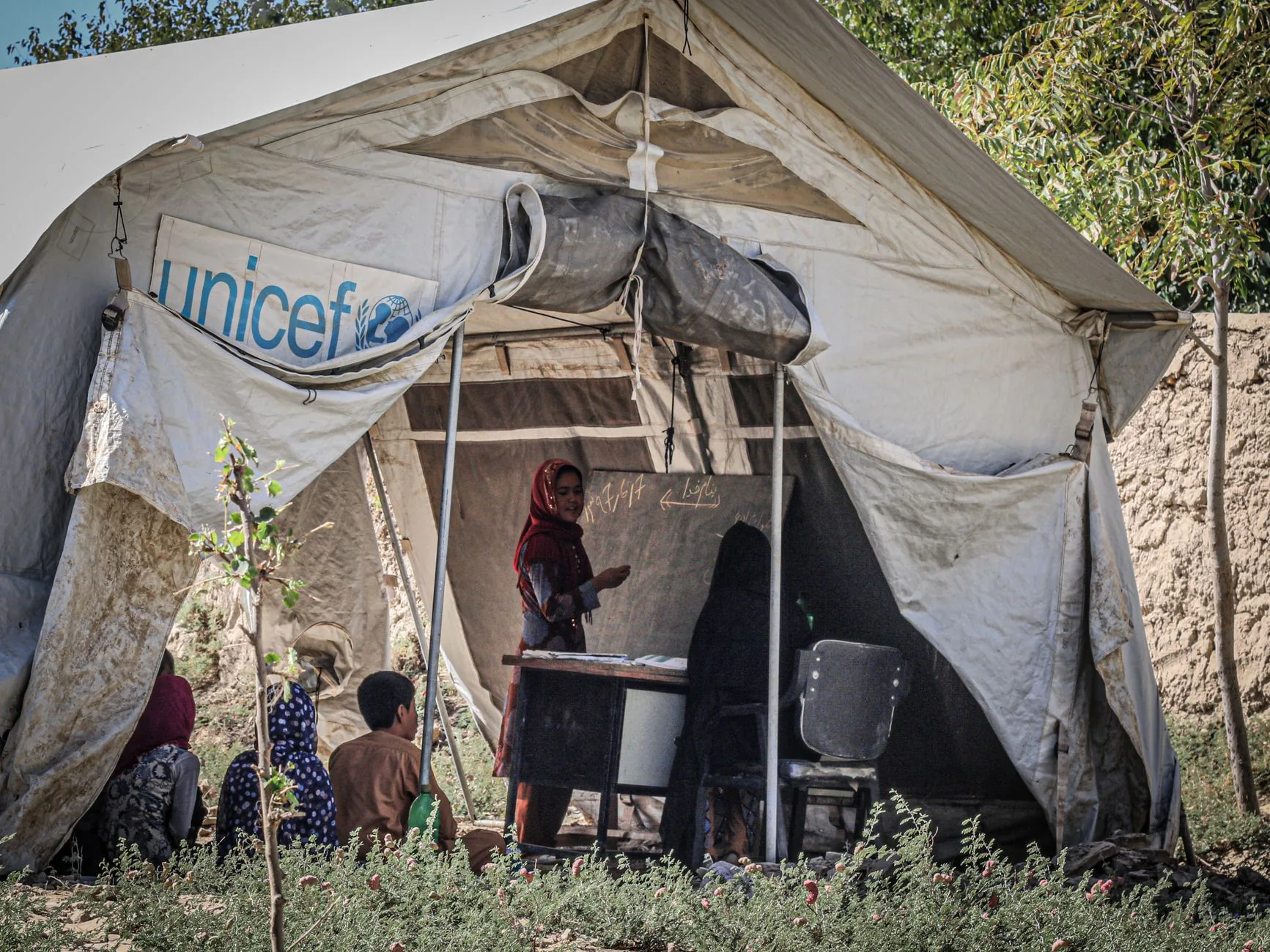 Análise: Como a Instabilidade Global Impacta a Educação