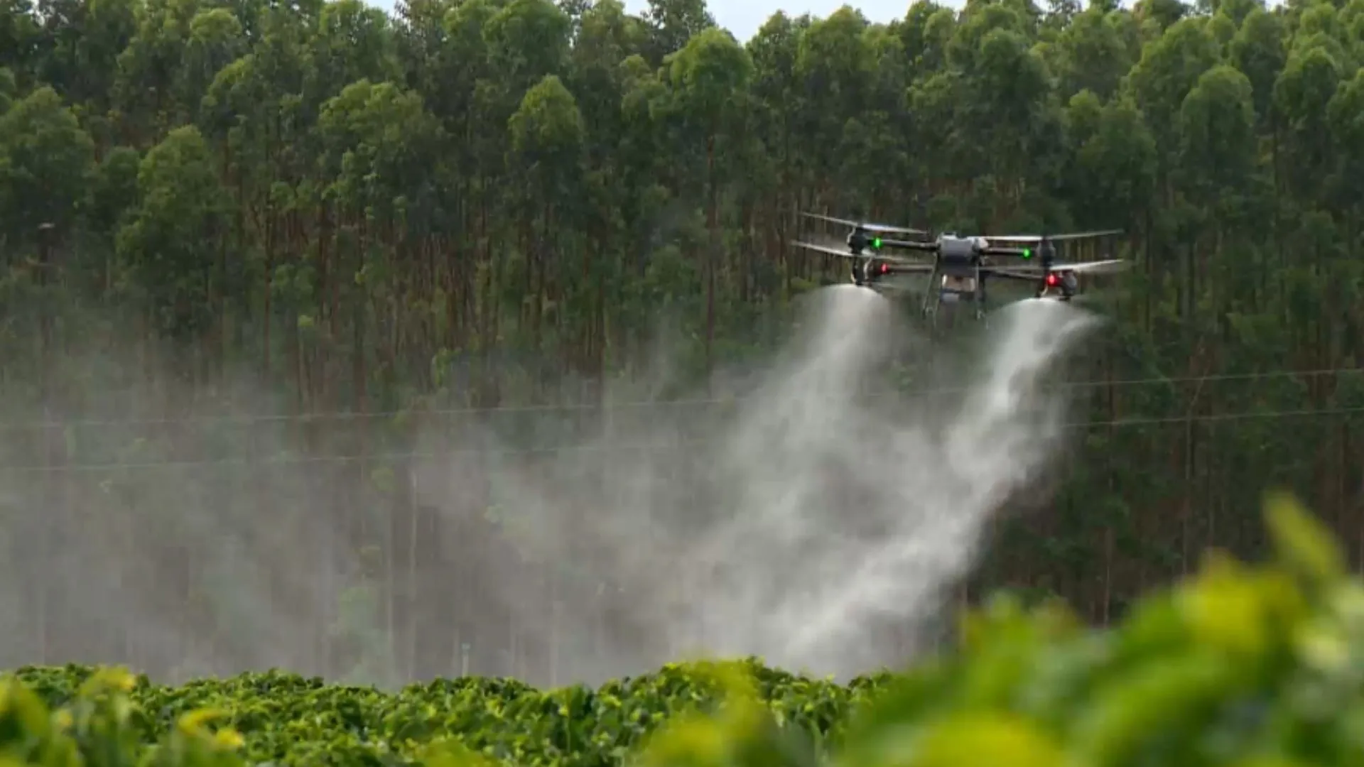 Comissão Europeia propõe flexibilizar regras para agrotóxicos