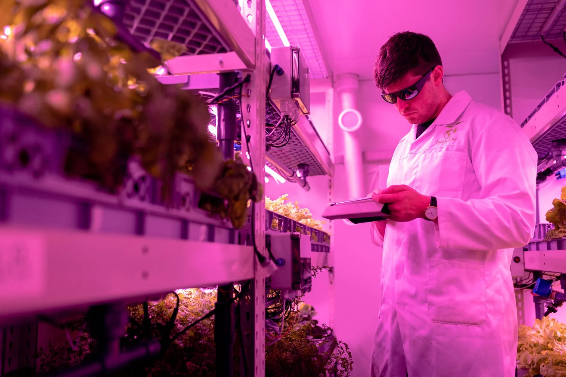 Barra Mansa institui Programa Municipal de Cannabis Medicinal Terapêutica