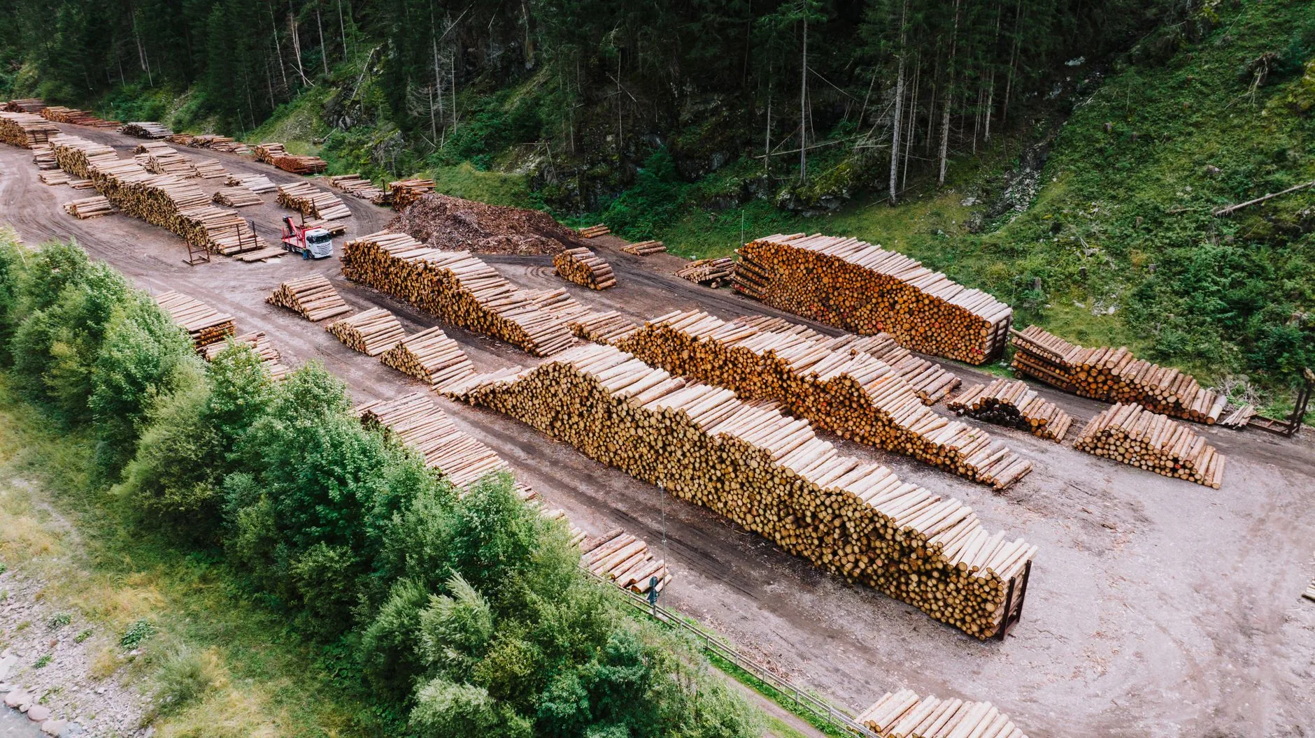 Entenda: Como a Tecnologia e a Ciência Florestal Estão Revolucionando a Produção de Hidrogênio e Gerenciamento Florestal