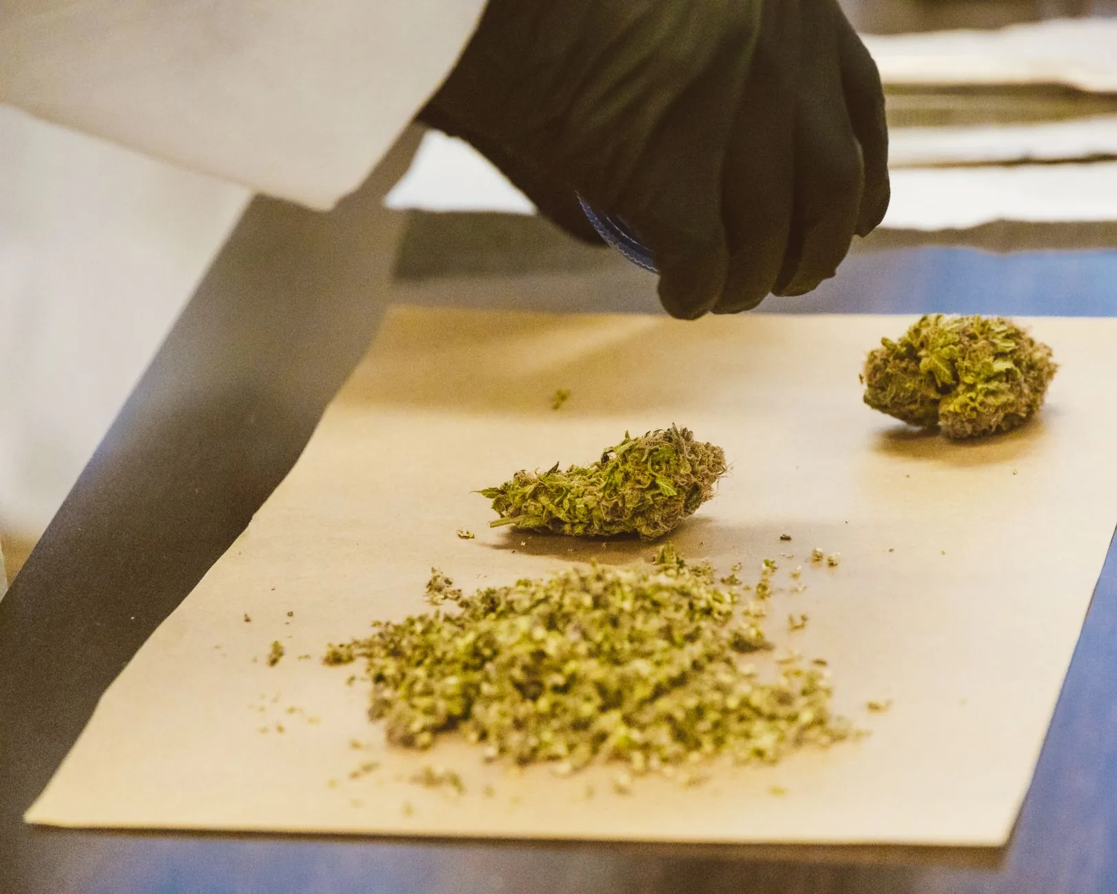 Desafios da Cannabis Medicinal na Pesquisa Científica