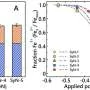 Tetrahedral iron enhances electron transfer in clays