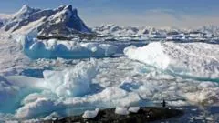 Antártica recebe canal nomeado em homenagem a ex-correspondente científico da BBC