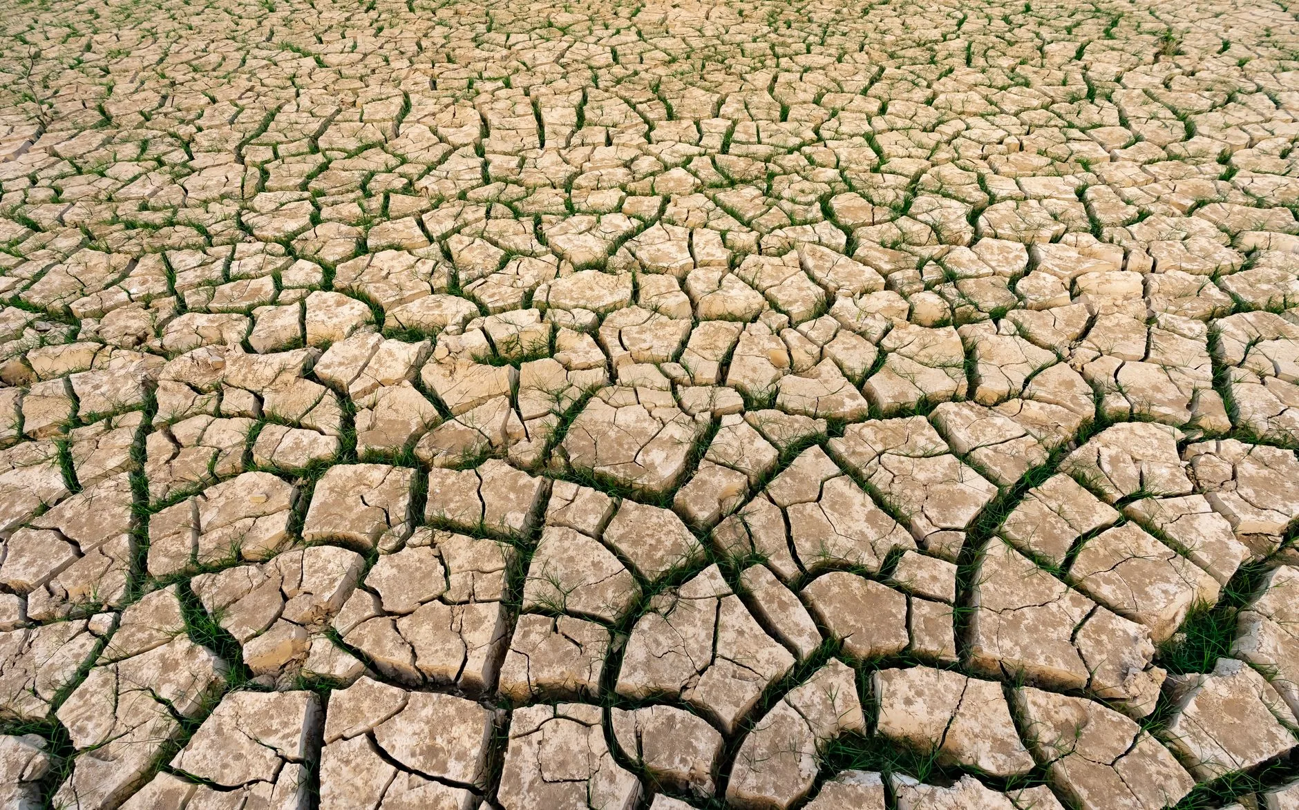 Calor persiste e chuvas devem ficar abaixo da média nos próximos meses
