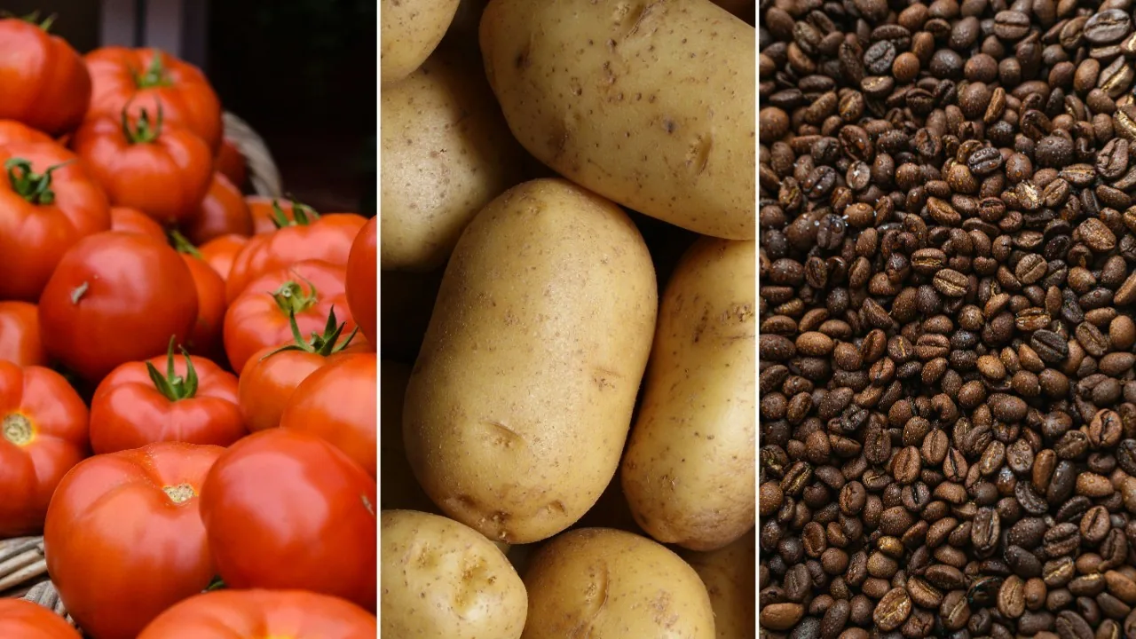 Preço dos alimentos: o que ficou mais caro e o que barateou na prévia da inflação de outubro