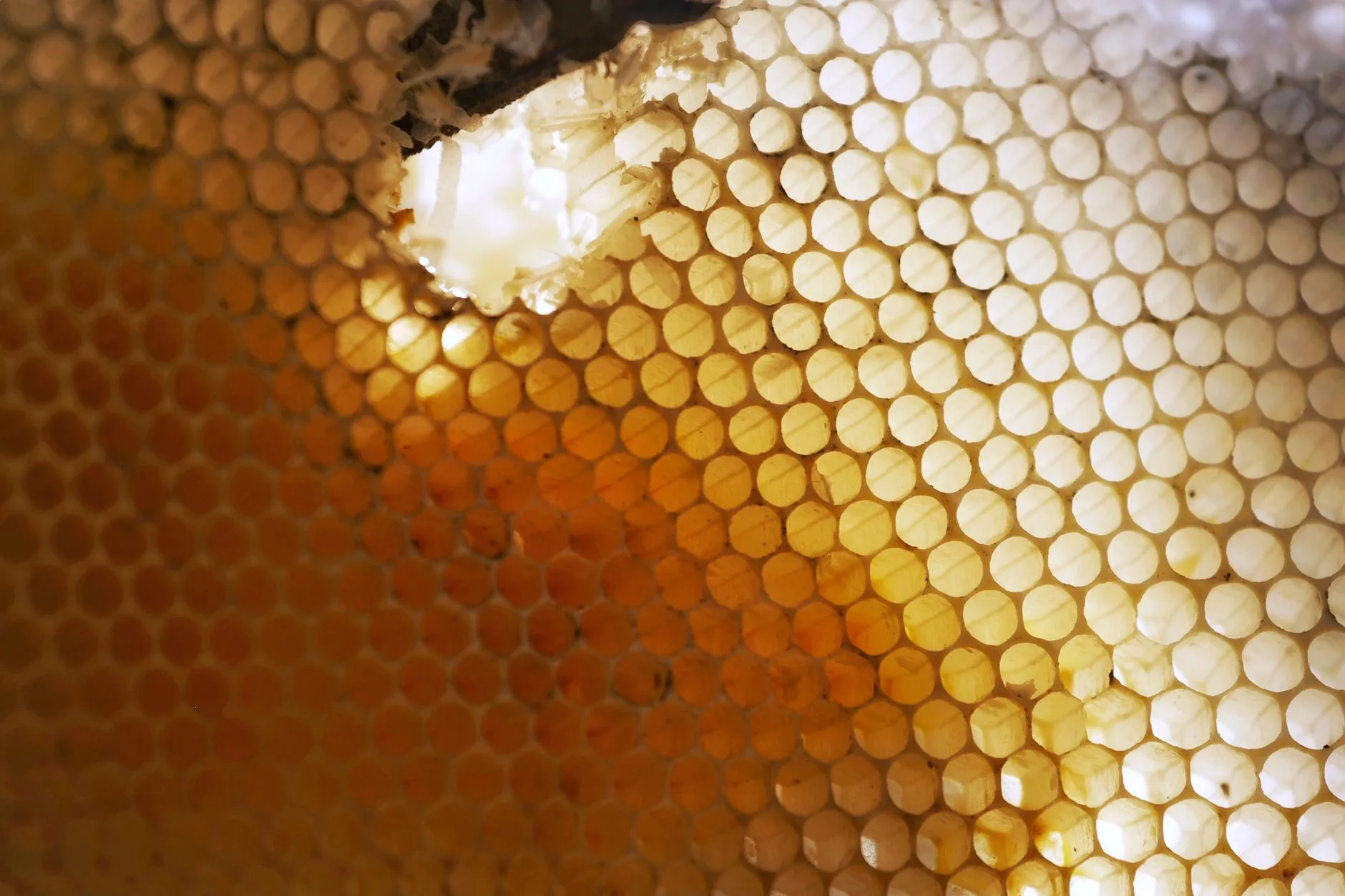 Novo material pode revolucionar produção de hidrogênio a partir da água