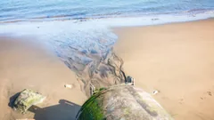 Mais de 800 mil horas de descargas de esgoto em rios e mares de Wales