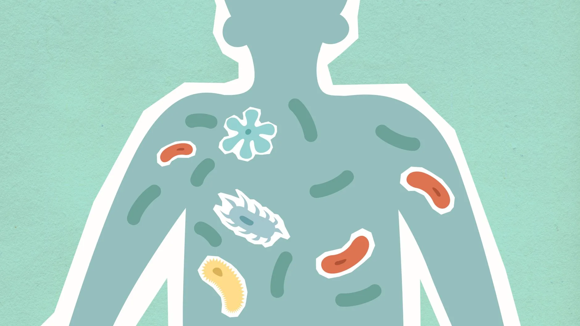 Microbioma intestinal pode indicar ritmo de envelhecimento