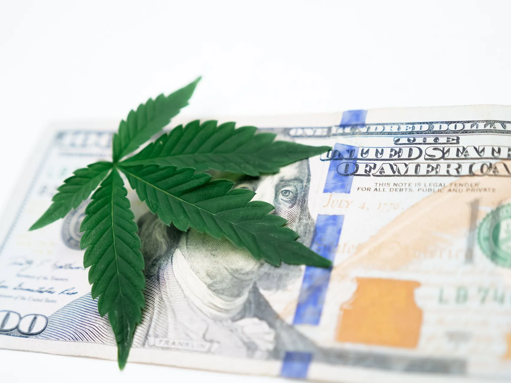 Contexto: Crescimento do Mercado de Cannabis Medicinal e Impactos Sociais