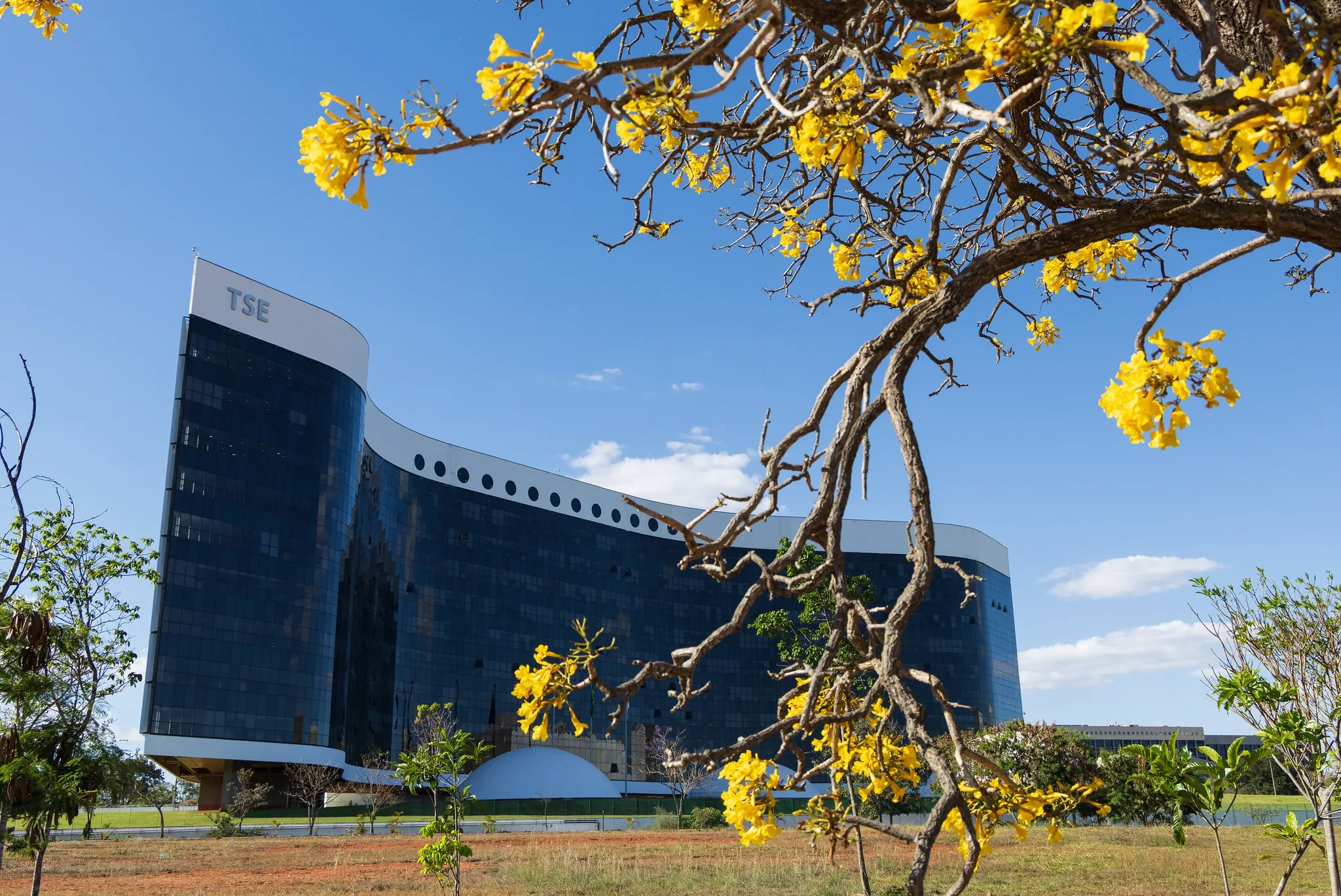 Área técnica do TSE não encontra conteúdos falsos investigados pela Corte no canal 'Exército do Lula', mas aponta riscos eleitorais