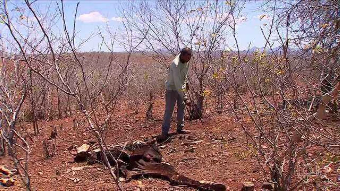 Seca atinge 11 municípios de Sergipe, causando prejuízos aos produtores