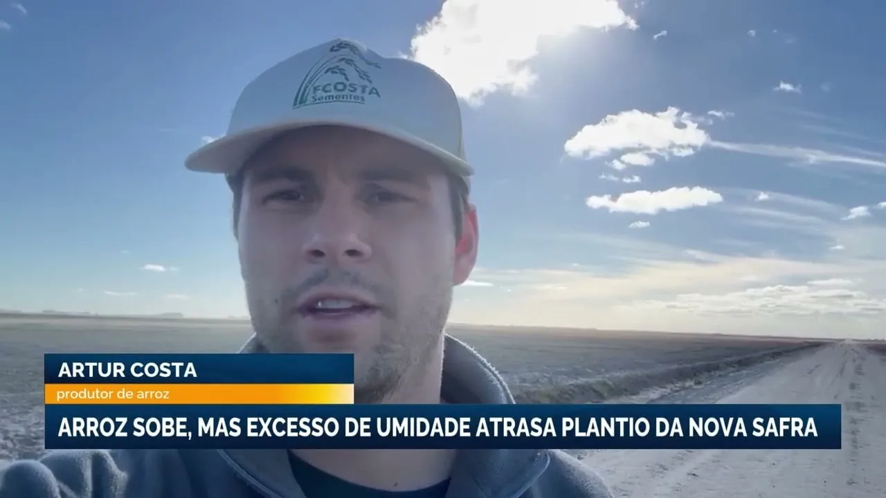 Alta nos preços do arroz é ofuscada por dificuldades no plantio