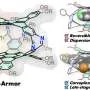 Novo material pode encapsular moléculas planas de forma inédita