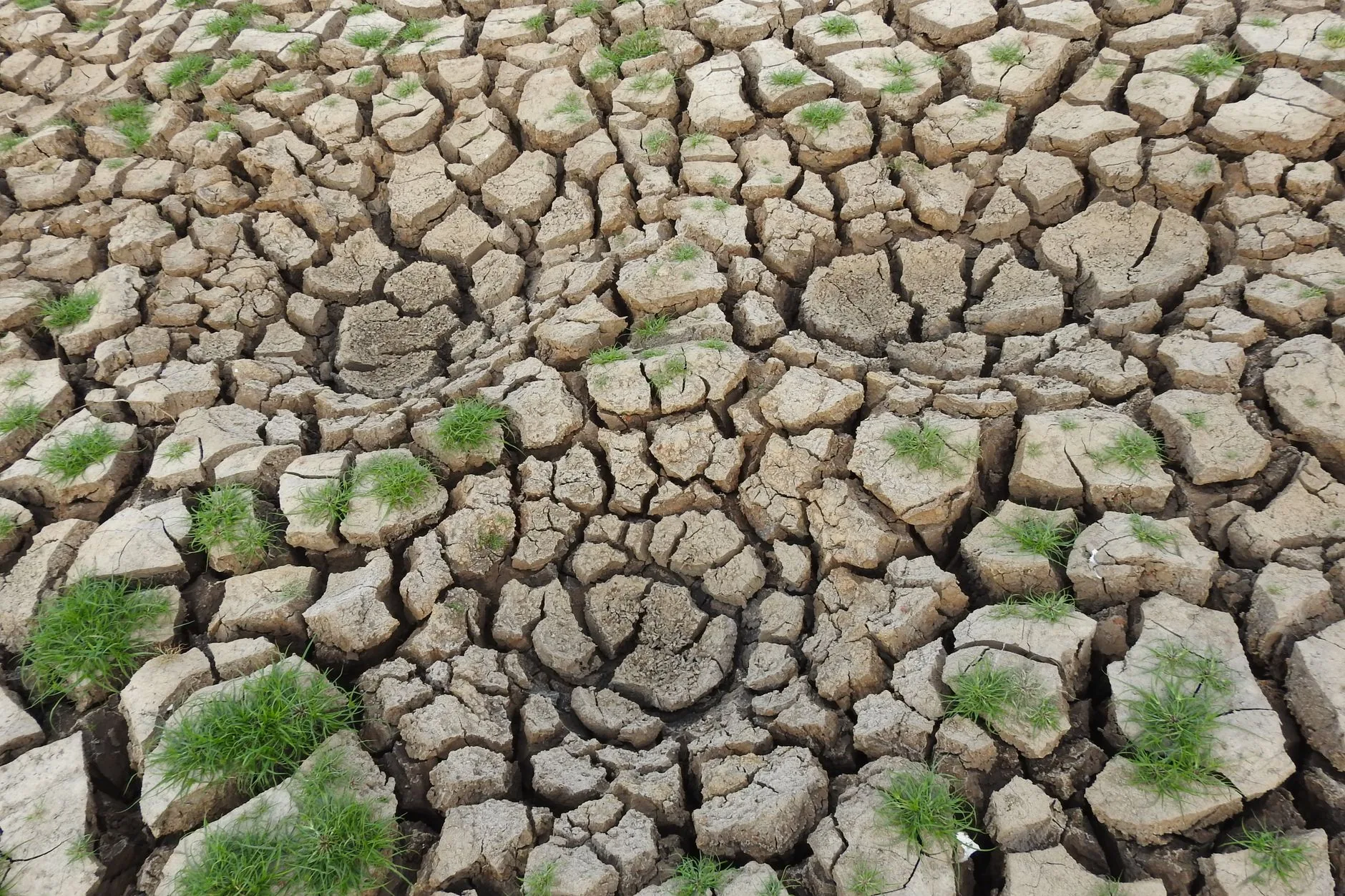 Perguntas e respostas: Entenda as principais questões do meio ambiente