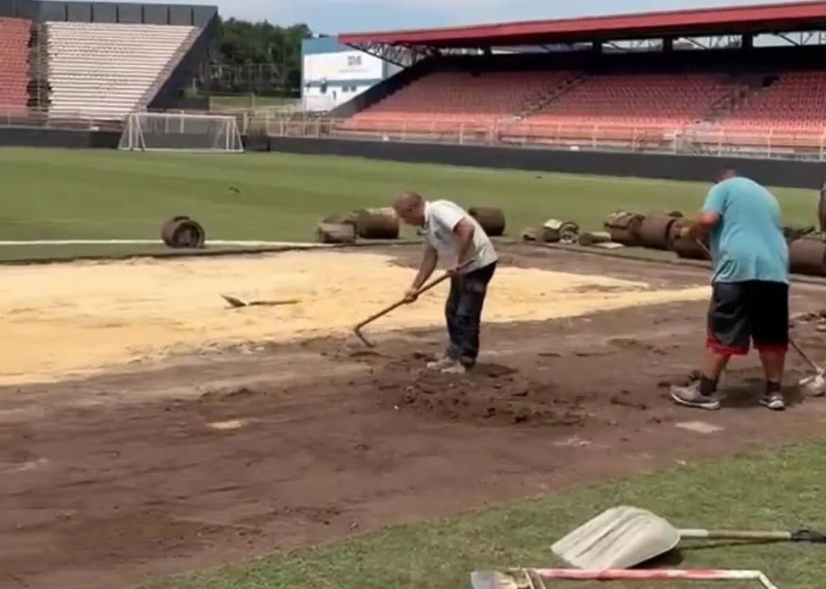 Novo ciclo de revitalização do gramado do Novelli Júnior
