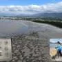 Seagrass meadows recover with new fish communities