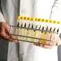 Descoberta premiada: a ciência revolucionária da optogenética