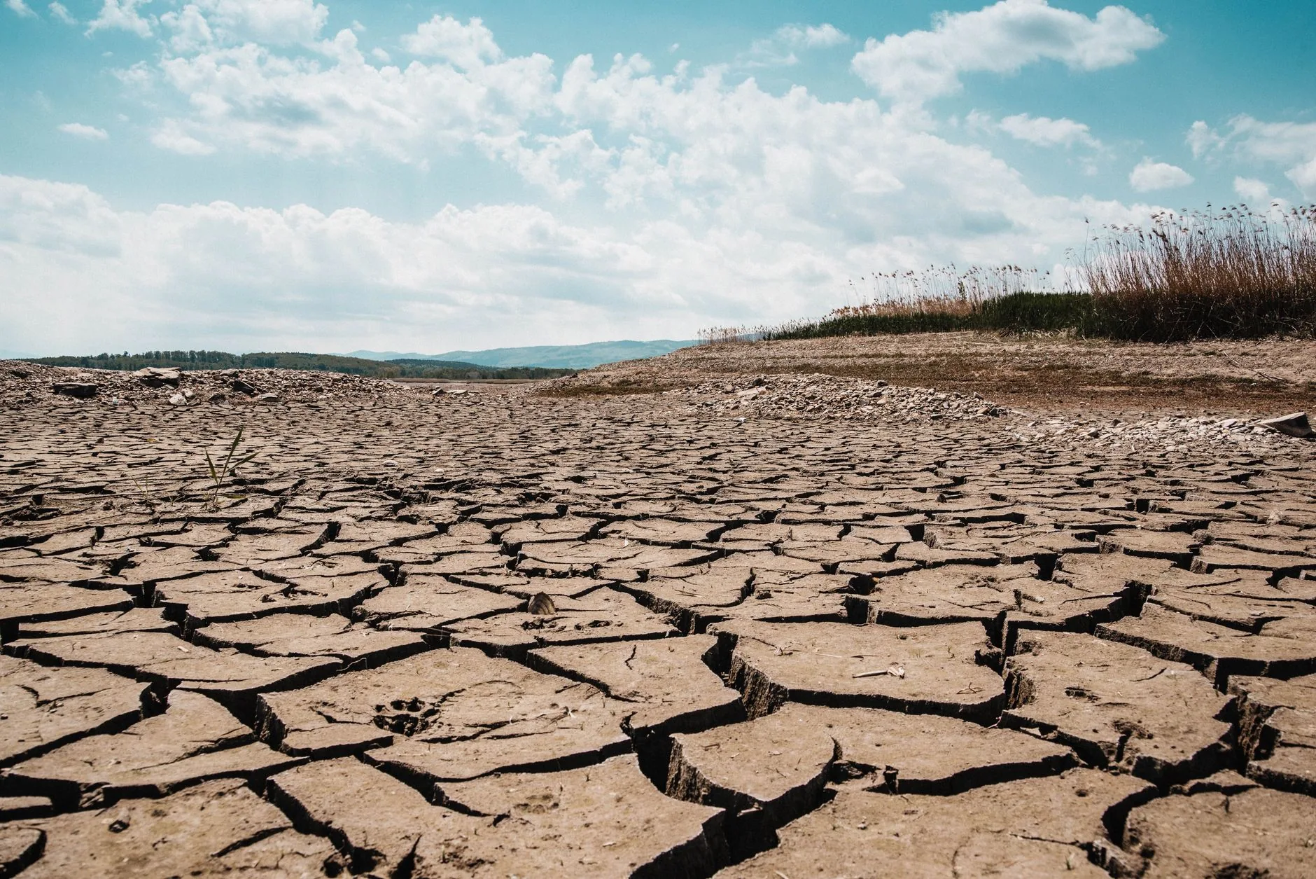Balanço: As Principais Notícias do Meio Ambiente no Último Período